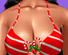 🎄Christmas Bikini V1