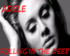 Rolling In The Deep1-13