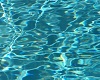 Pool Water Pic