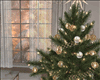 ! Glam Christmas DC mini