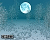 Winter Photoroom