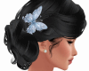 Spring Hair PNY-354