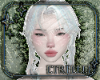 Wind Fairy Hair Base v16