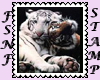 Two Tigers Biggie Stamp