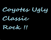 coyotes ugly rock