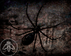 Animated Spider IHI