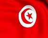Tunis Triggered Flag