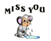 Crying mouse misses you
