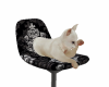 ☆Counter chair cat