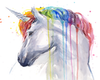 Rainbow Unicorn (R)