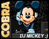 DJ Mickey
