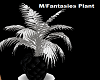 M/Fantasies Potted Plant