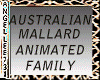 ANIMATED MALLARD FAMILY