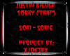 lJl Justin Bieber Sorry