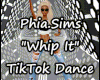 P.S. Whip It TikTok