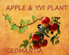 Apple & Yvi plant filler