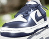 Silver Surfer Dunks M