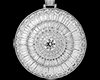 Prince Medallion Chain