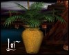 Aquaria Palm n Vase
