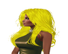 Dalea wavy yellow
