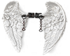 Stolen Angel Wings