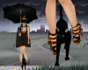 Black Cat With Umbrella