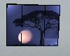 moonlit window