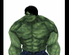 MNG The Hulk Custume