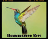 *HummingBirds Kiss
