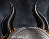 LH Obscure Horns