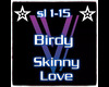 Skinny Love- Birdie