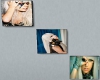 SG Lady Gaga 3 Pictures