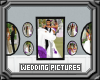 Wedding Pictures