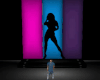 DJ STAGE FLASH 2