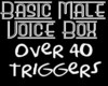 Basic Nice Male VoiceBox