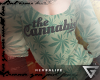 L-Line Cannabist