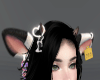 Cow Ears