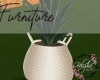 Fall In Love Vase& Plant