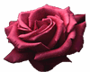 Red Rose Glitter