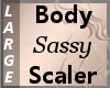 Body Scaler Sassy L