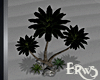 VII: Palm Trees