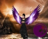 Starrynight Angel wings