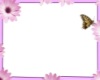 Butterfly petal SS frame