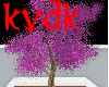 Purple leaved tree