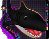 🦈 Shark Plush | Black