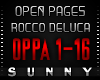 RoccoDeLuca-Open Pages