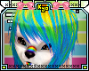 |KyO|RainbowTookzi Hair3
