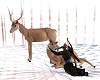 animated deer/cervi