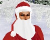 SL Santa Hat Beard