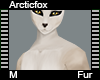 Arcticffox Fur M